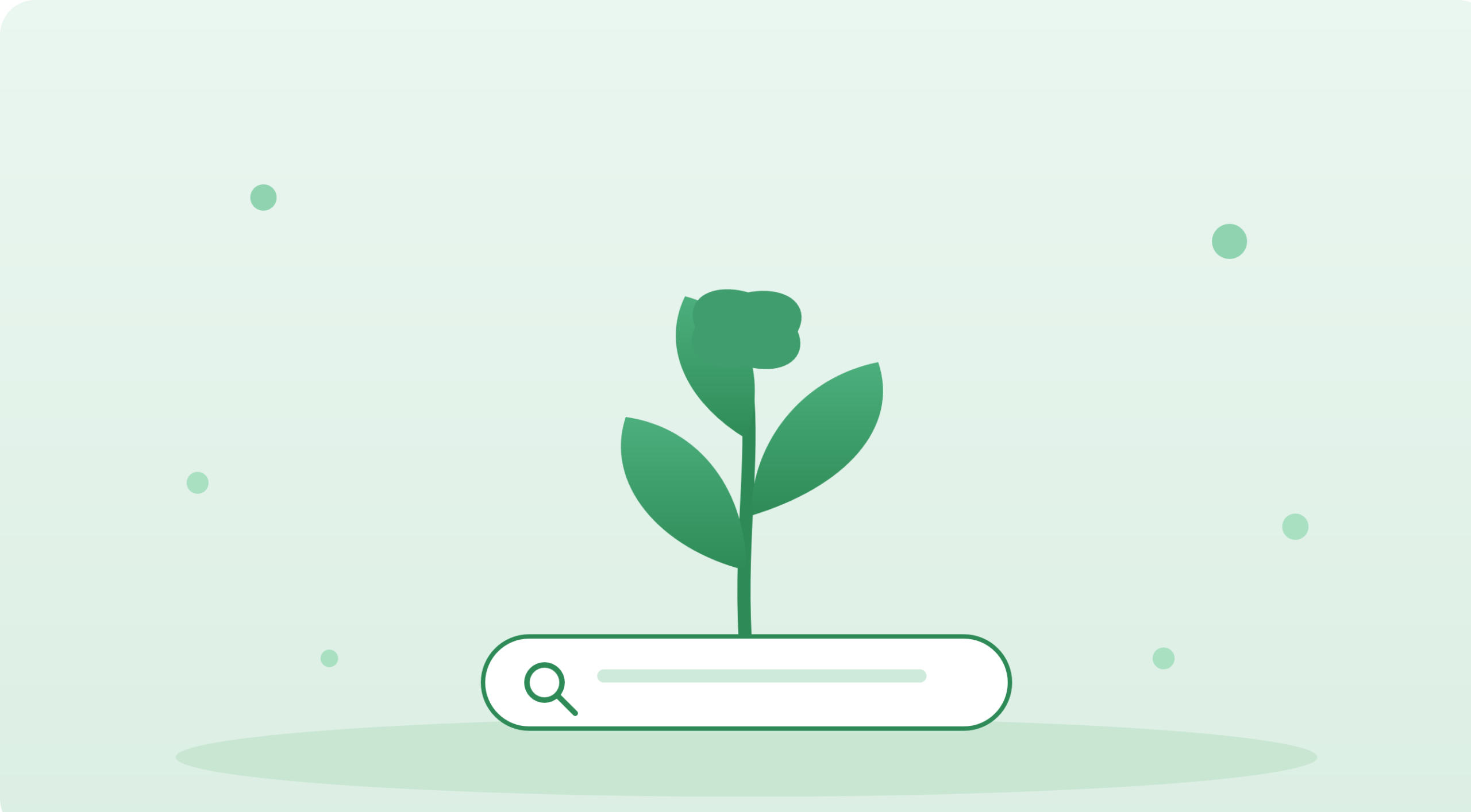 Organic SEO
